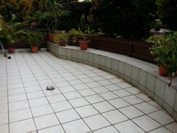 Northvale (D23), Apartment #158341062